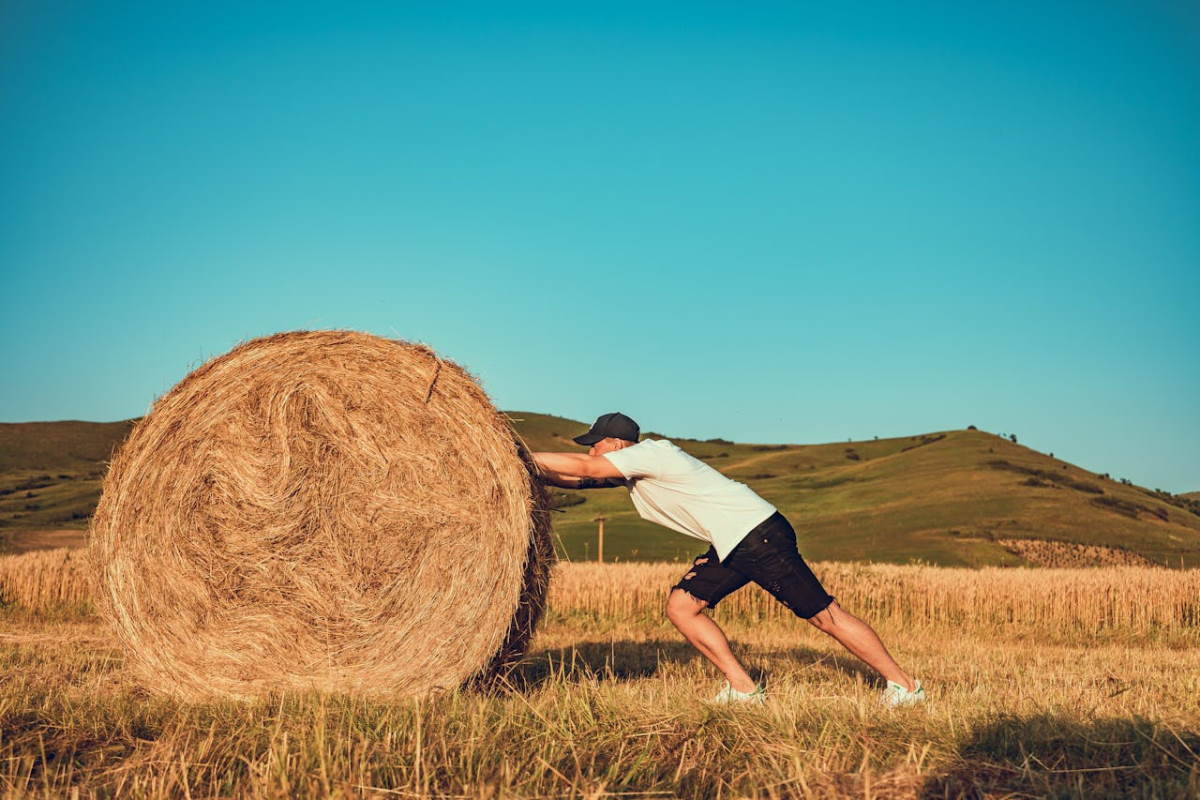 man on the field