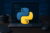 python for web development